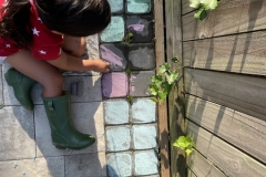 Photo-Aug-27-8-43-19-AM
